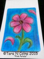 Pink Petals